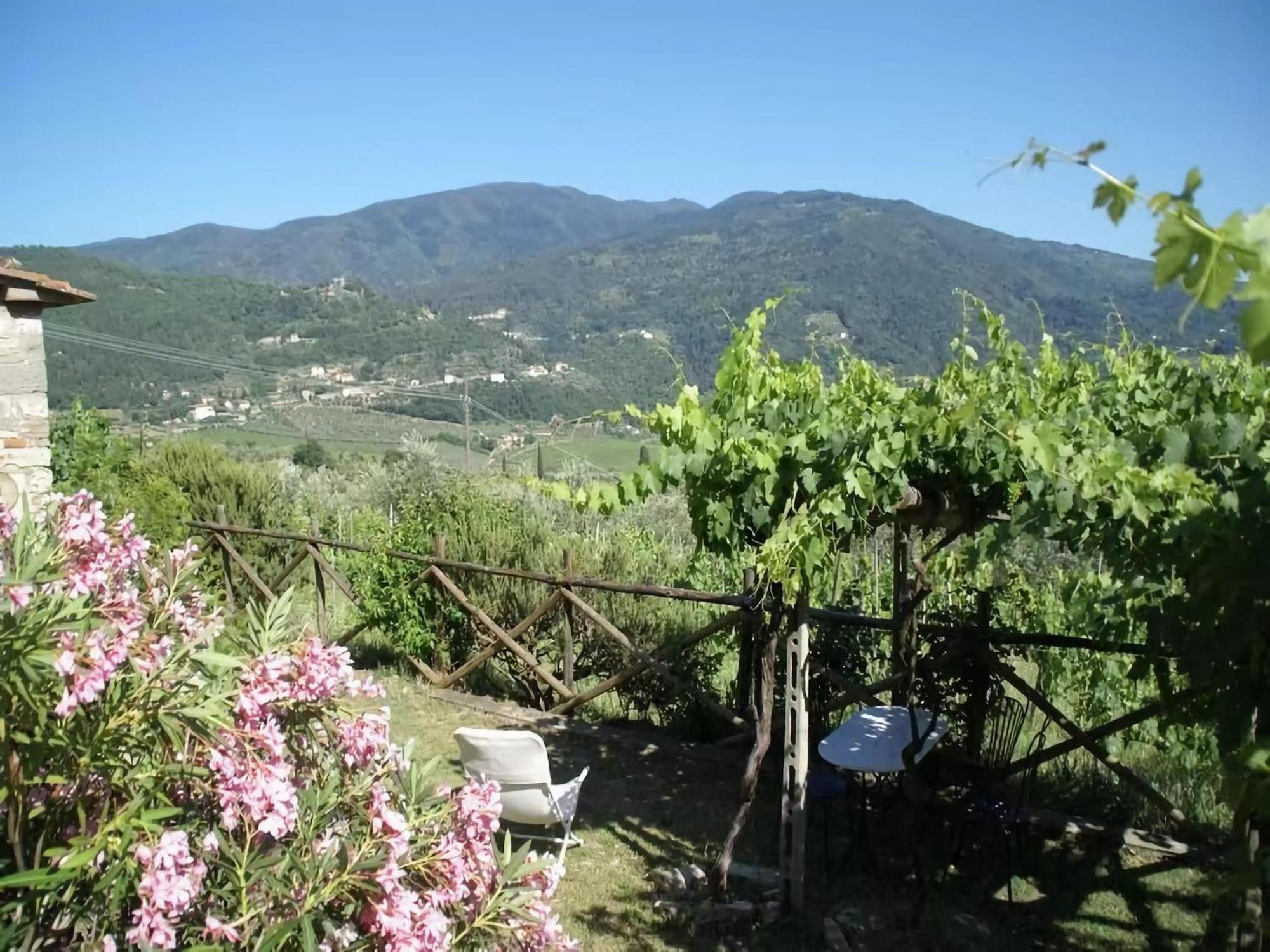 Cosy Apartment Forno In Pelago With Swimming Pool Donnini Exterior photo